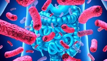 دلیل اصلی مفید بودن باکتری های روده چیست؟