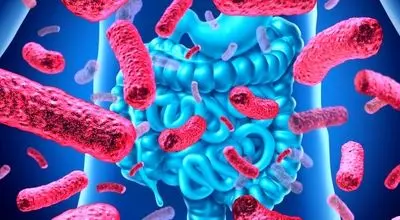 دلیل اصلی مفید بودن باکتری های روده چیست؟