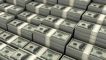 دلار امروز چند؟ / جدول قیمت ۲۴ مهر ۱۴۰۵
