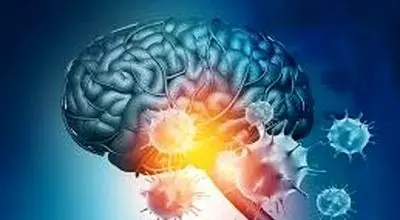 این ویروس باعث کند ذهنی میشود!!!
