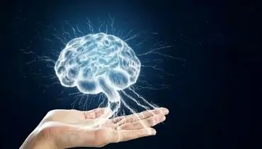 راهکار علمی که بهره‌وری شما را متحول می‌کند

