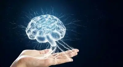 راهکار علمی که بهره‌وری شما را متحول می‌کند

