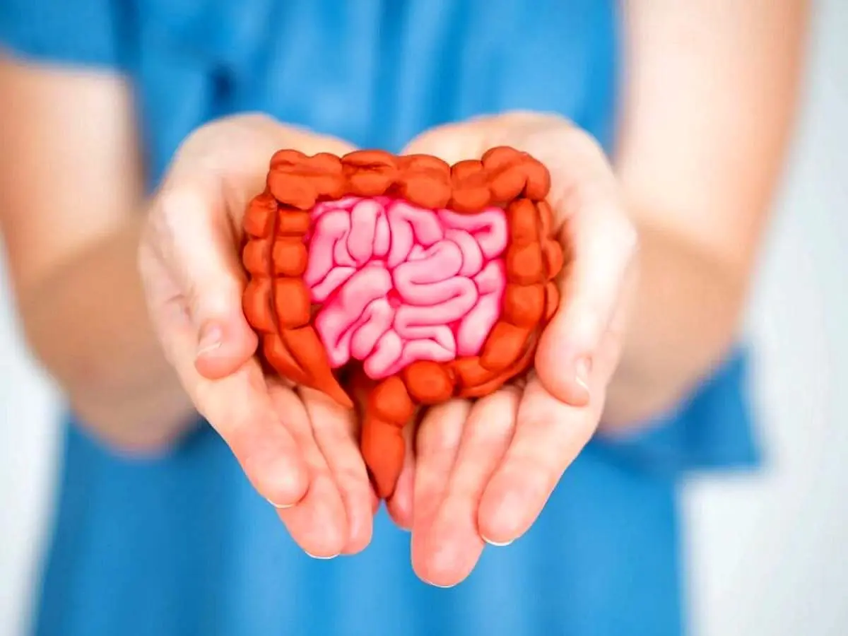 برای سلامت روده این غذاها را بخورید
