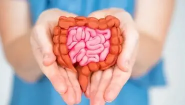 برای سلامت روده این غذاها را بخورید