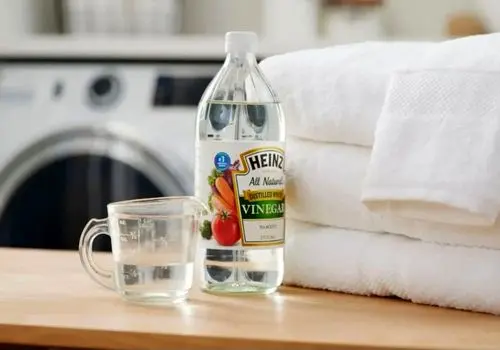 لباس شستن حرفه‌ای؛ ۱۹ رازی که خشک‌شویی‌ها به شما نمی‌گویند!