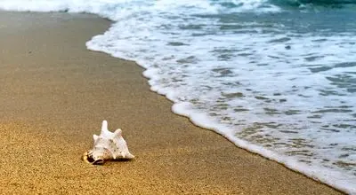 فاصله از سطح دریا چیست؟ بهترین ارتفاع از سطح دریا برای زندگی
