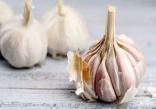 سم زدایی بدن با مصرف این نوع میوه تابستانه