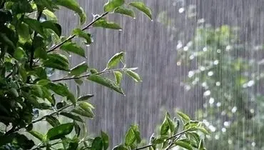 بارش‌ها در راه است؛ امیدها زنده شد