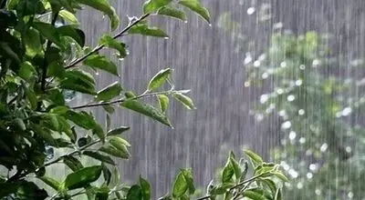 بارش‌ها در راه است؛ امیدها زنده شد