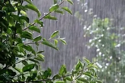 بارش‌ها در راه است؛ امیدها زنده شد