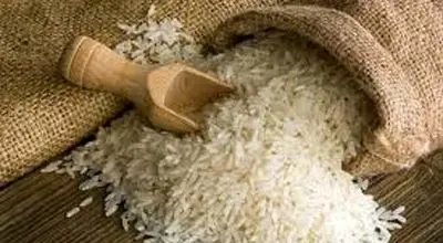آخرین نرخ برنج ایرانی در بازار؛ بررسی قیمت کیسه‌های ۱۰ کیلویی در ۱۱ آذر