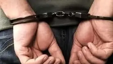 ادعای جدید و خیلی عجیب درباره مهمانی ع‌.ش/ویدیو 