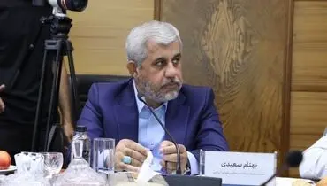 بهنام سعیدی: سرمایه‌گذاری‌های گروه مالی گردشگری آینده توسعه و اشتغال کرمان را تضمین می‌کند