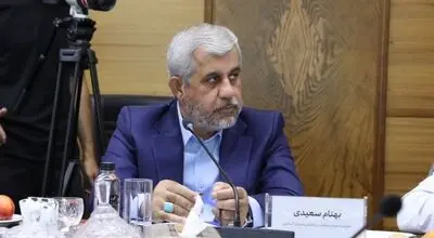 بهنام سعیدی: سرمایه‌گذاری‌های گروه مالی گردشگری آینده توسعه و اشتغال کرمان را تضمین می‌کند