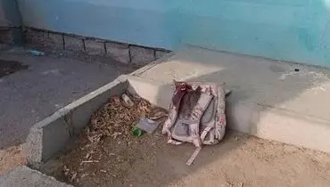 واکنش سنتکام به هدف قرار دادن مدرسه دخترانه
