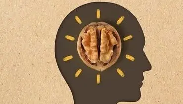 پاک‌کردن خاطرات منفی با نور؛ تکنولوژی نوین درمان اختلالات روانی