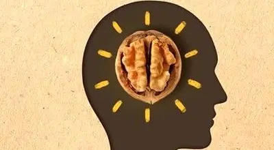 پاک‌کردن خاطرات منفی با نور؛ تکنولوژی نوین درمان اختلالات روانی