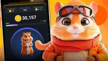 مرگ پسر نوجوان در پی بازی همستر