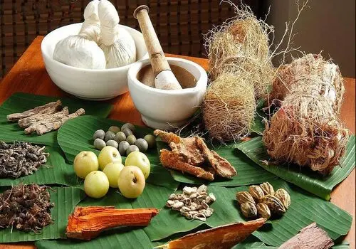 بایدها و نبایدهای تغذیه‌ای هنگام آلودگی هوا