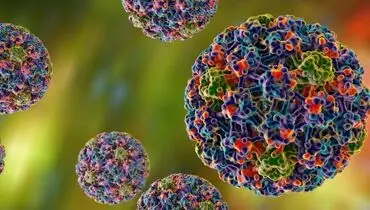 HPV ؛ بیماری مرگباری که در ایران سانسور می‌شود!