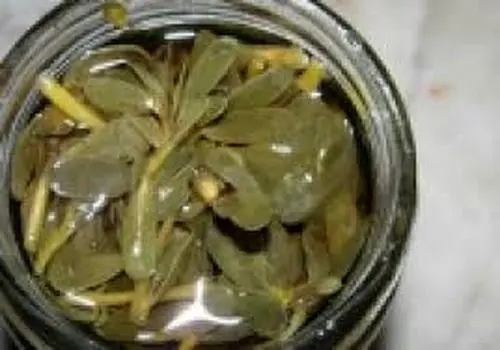 چرا ترشی خرفه لیز می شود؟
