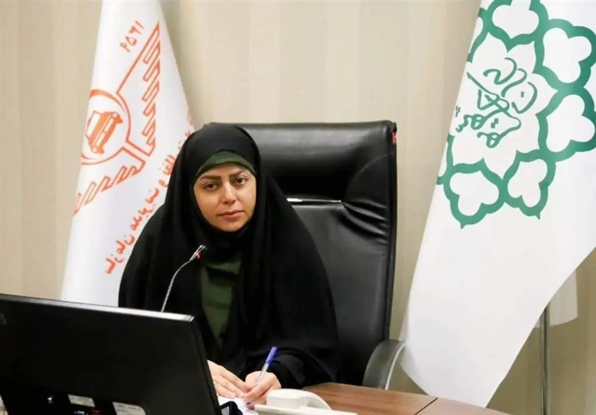 تاکسی‌های برقی چینی به پایتخت رسیدند
