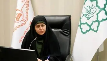 تاکسی‌های برقی چینی به پایتخت رسیدند
