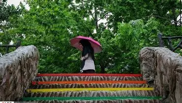 هشدار مهم درباره بارش باران شدید در این استان ها