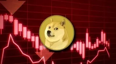 قیمت رمز ارز دوج کوین ۱ دی ۱۴۰۴
