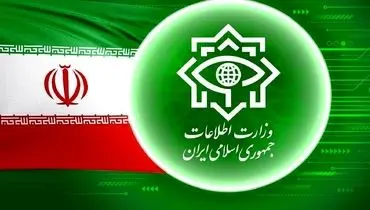 بیانیه وزارت اطلاعات در پی شهادت سردار سید مجید خادمی
