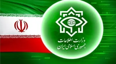 بیانیه وزارت اطلاعات در پی شهادت سردار سید مجید خادمی
