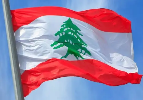 دستگاهی عجیب که زباله های آشپزخانه را به خاک تبدیل می کند+ فیلم
