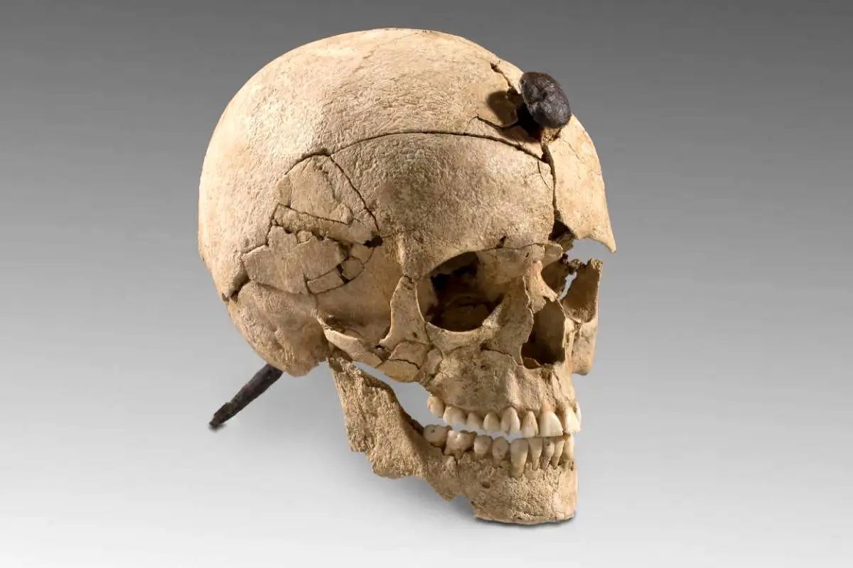 وقتی استخوانها داستان میگویند؛ جمجمههای میخکوبشده اسپانیا چه رازی را پنهان کردهاند؟+ عکس