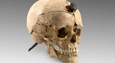 وقتی استخوان‌ها داستان می‌گویند؛ جمجمه‌های میخ‌کوب‌شده اسپانیا چه رازی را پنهان کرده‌اند؟+ عکس
