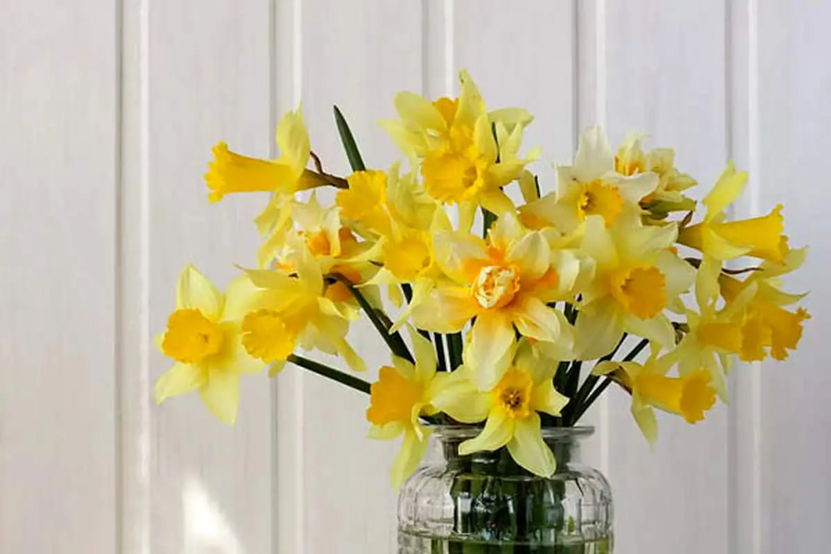 اعمال شب و روز نیمه شعبان + متن دعا | نماز شب نیمه شعبان چگونه خوانده می‌شود؟
