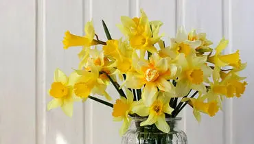 اعمال شب و روز نیمه شعبان + متن دعا | نماز شب نیمه شعبان چگونه خوانده می‌شود؟
