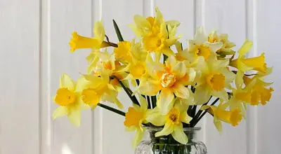 اعمال شب و روز نیمه شعبان + متن دعا | نماز شب نیمه شعبان چگونه خوانده می‌شود؟
