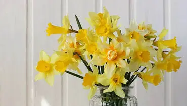 اعمال شب و روز نیمه شعبان + متن دعا | نماز شب نیمه شعبان چگونه خوانده می‌شود؟
