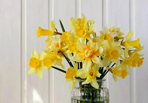 مراسم جشن نیمه‌شعبان در باغ حاجی‌سقاباشی؛ 132 سال قبل