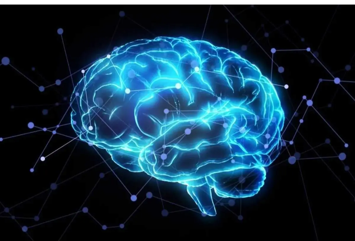 مدیتیشن و تغییرات قابل توجه در عملکرد مغز