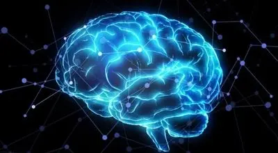 مدیتیشن و تغییرات قابل توجه در عملکرد مغز