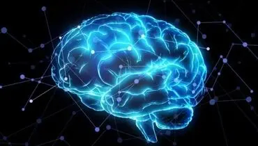 مدیتیشن و تغییرات قابل توجه در عملکرد مغز