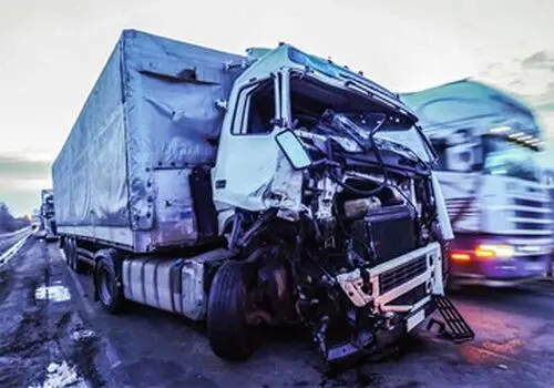 اقدام به رانندگی این سگ بازیگوش تصادف به راه انداخت!+فیلم