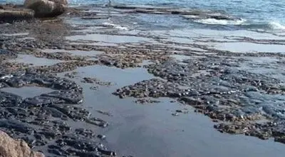 روش عجیب پاک‌سازی لکه نفتی در سواحل قشم؛ راهکاری متفاوت برای نجات حراها