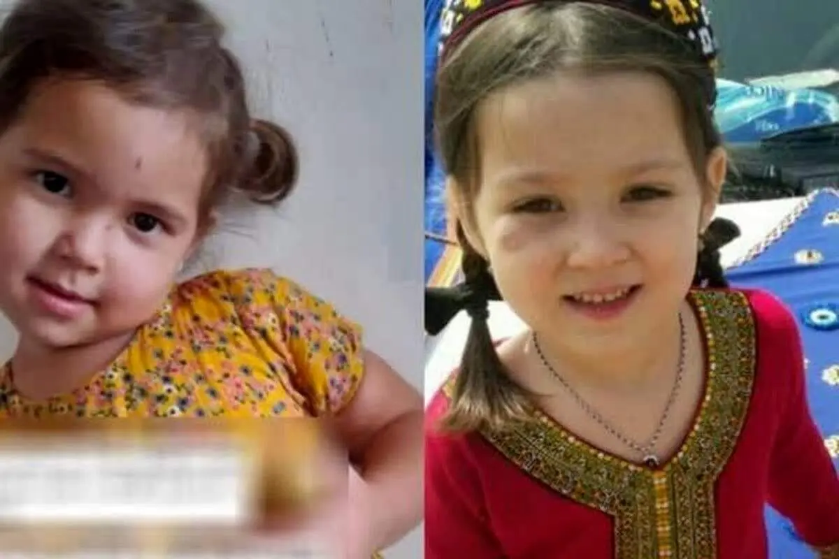 دستگیری متهمان اصلی پرونده مفقودی یسنا+جزئیات