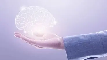 آیا ذهن به ما دروغ می‌گوید؟
