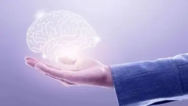 آیا ذهن به ما دروغ می‌گوید؟
