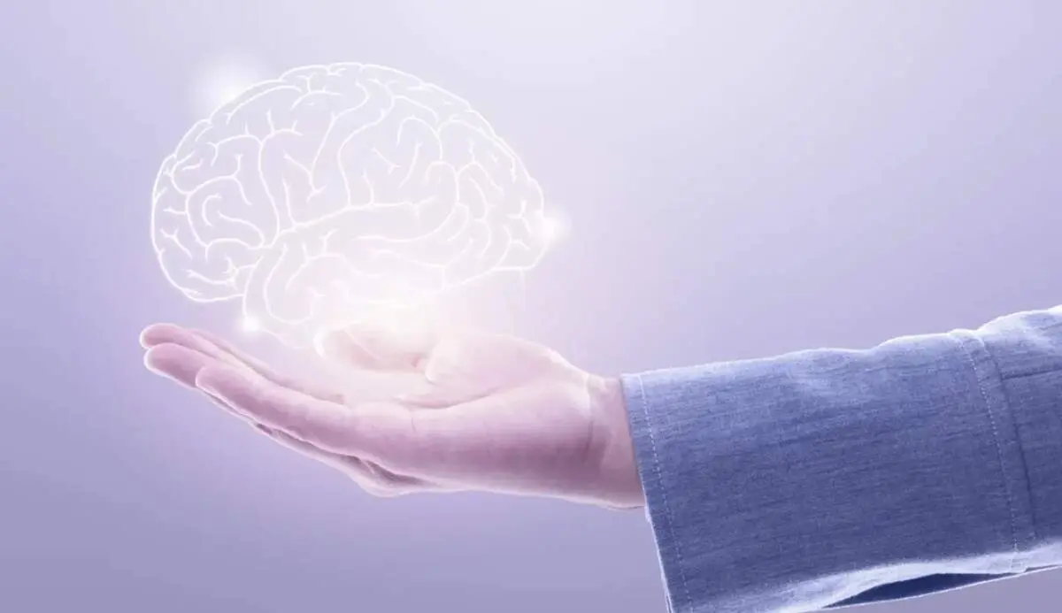 آیا ذهن به ما دروغ می‌گوید؟

