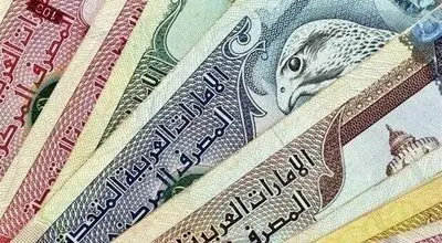 قیمت درهم حواله‌ای امروز یکشنبه ۵ بهمن ۱۴۰۴