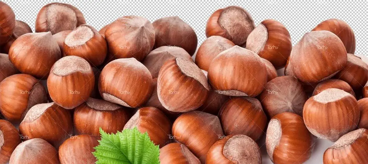 فواید باورنکردنی و معجزه آسای فندوق